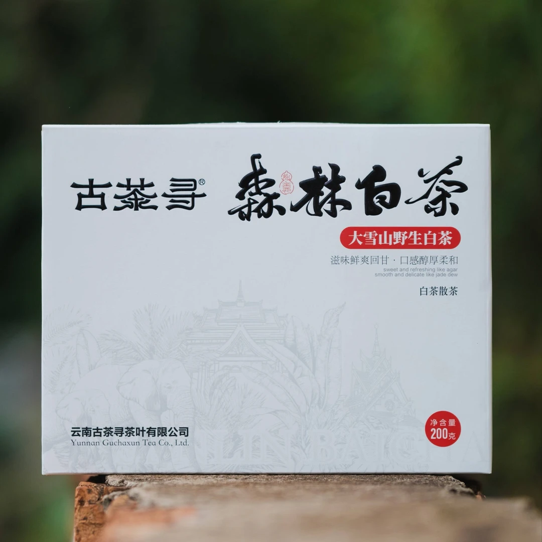 古茶寻 大雪山森林白茶200克