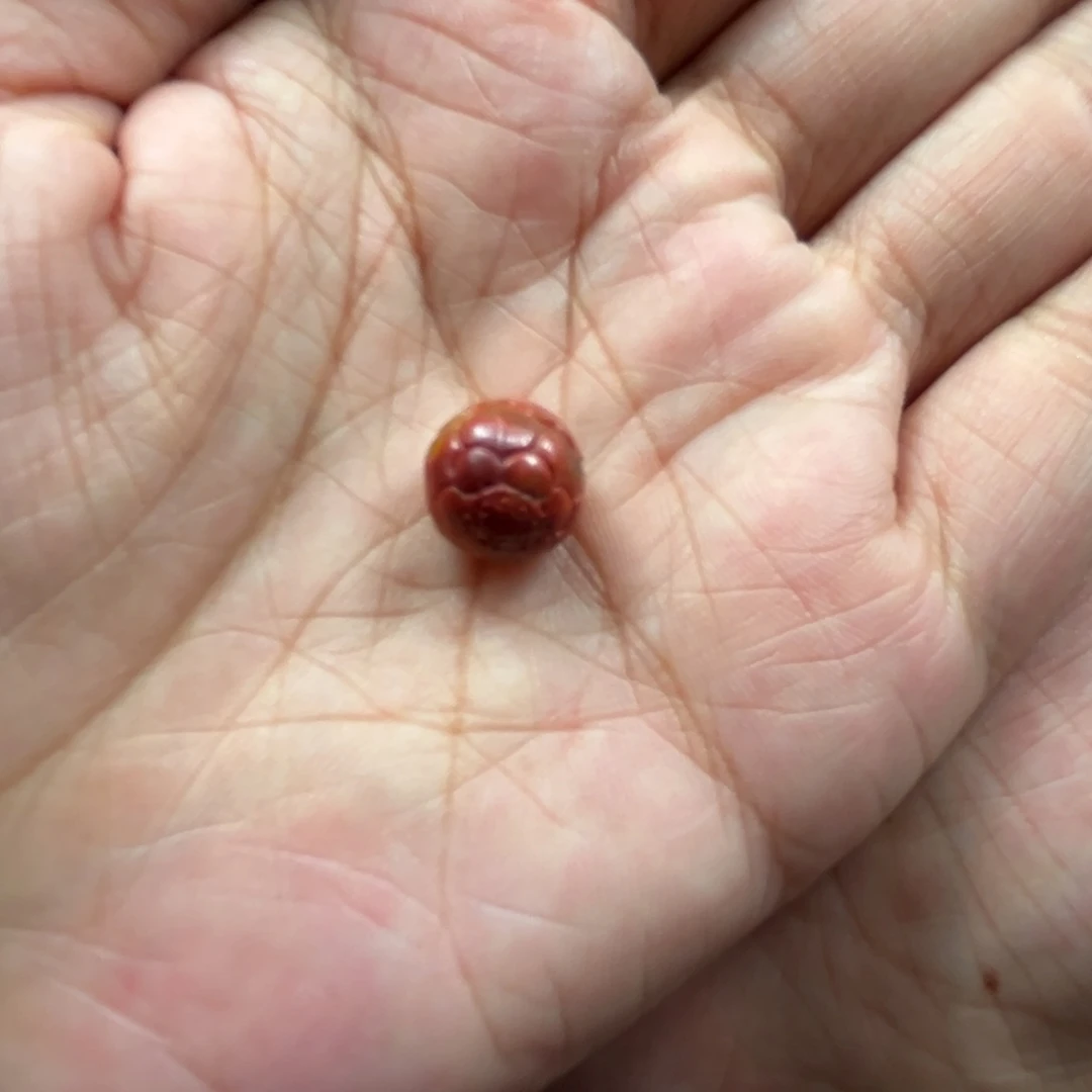 莉***2颈饰未镶嵌南红玛瑙