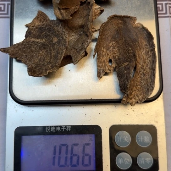 沉香摆件海南壳子香野生10.6克