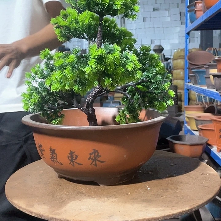 小红花盆花盆花盆花盆