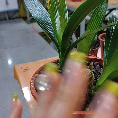 完全开放减肥呢放你那福奈特