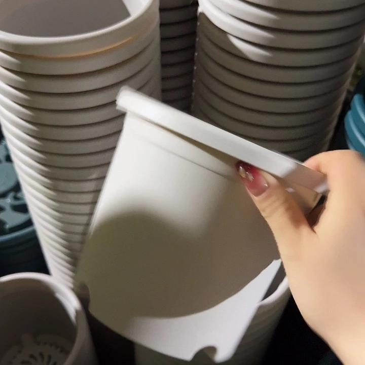 四季2号灰白无托10个特价微瑕