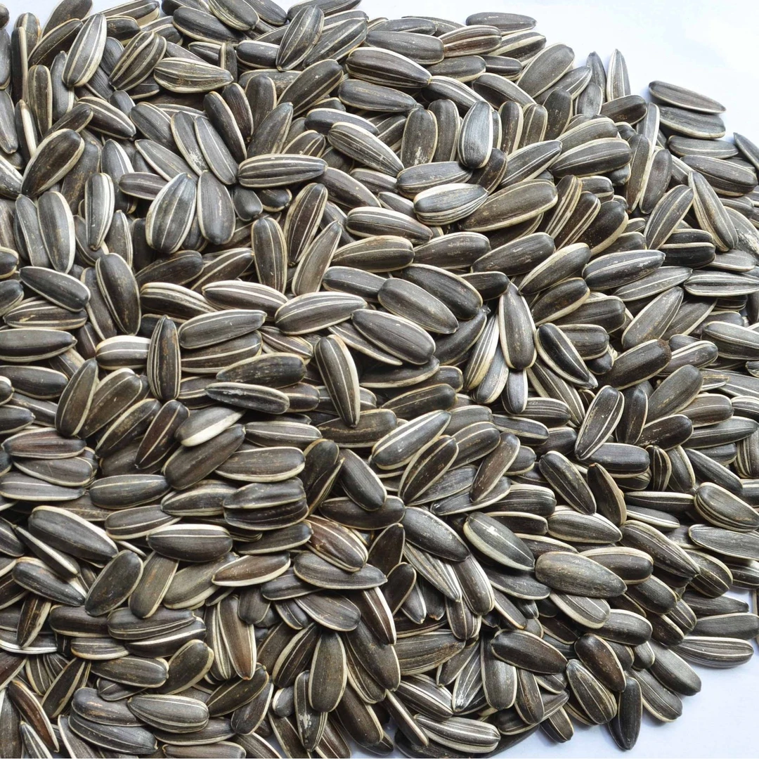 买1斤送1斤原味熟瓜子健康美味开袋即食