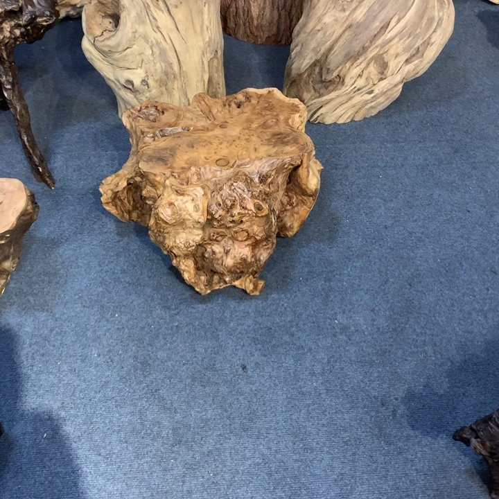 月**人88888888888888