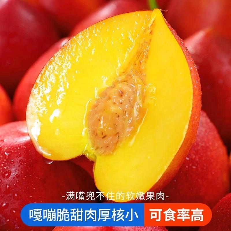 【香甜可口】山东头茬黄肉油桃脆甜多汁新鲜现摘1-5斤装果园直发