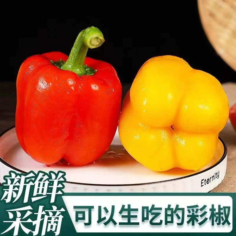【京东快递】山东寿光水果五彩椒太空椒生吃现摘现发新鲜蔬菜水果