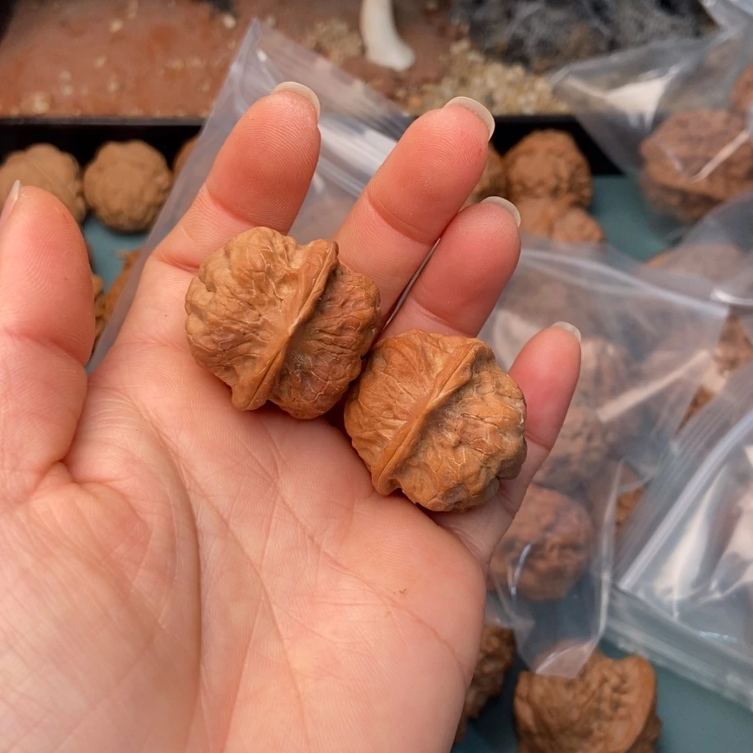 大***晗吊坠文玩核桃疙瘩包20