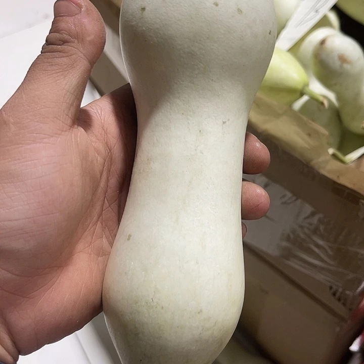 非洲紫檀（红花梨）曾*