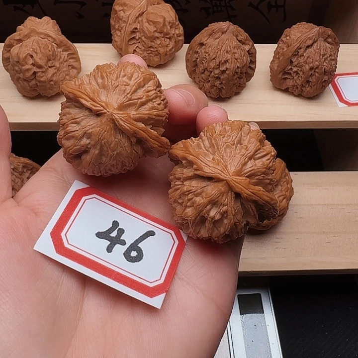 把件文玩核桃白狮子41尺
