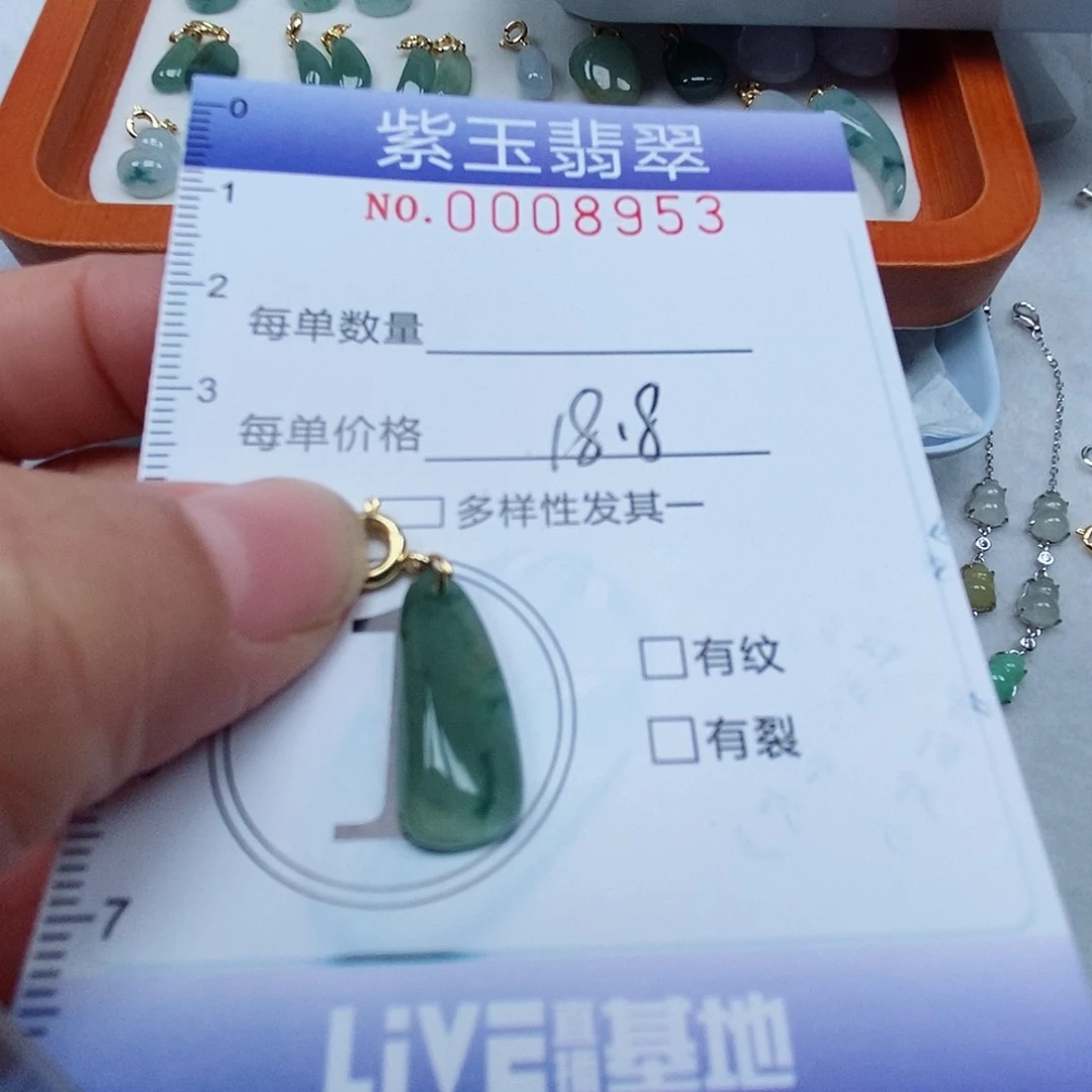 颈饰未镶嵌翡翠冰透随行