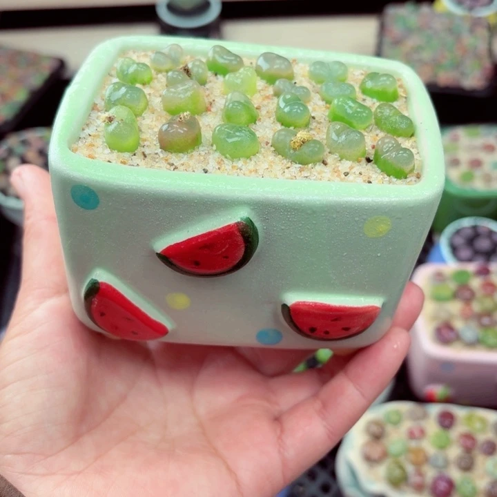 522零下地区记得拍保温箱