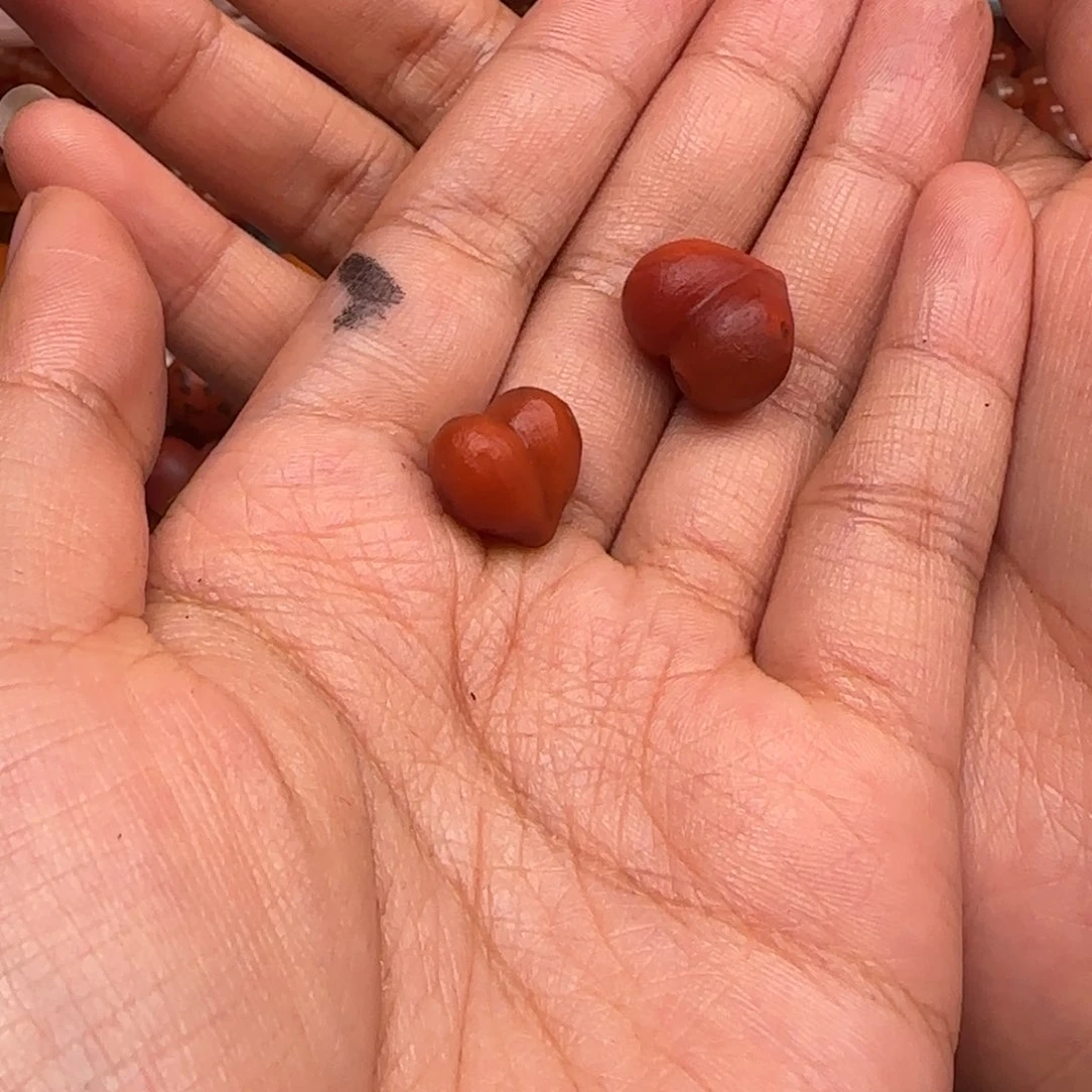 手串未镶嵌南红玛瑙哈****狗打孔不退换
