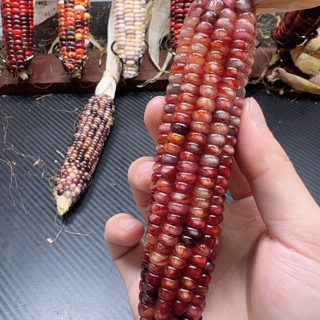 米***夏柏香籽/百香籽吊坠