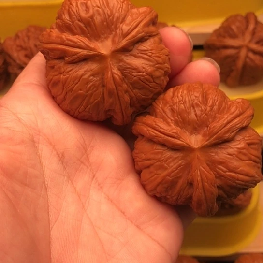 亚***连核桃核桃核桃核桃