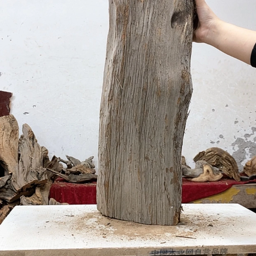 【闪购商品】柏木春*我们都是好孩子