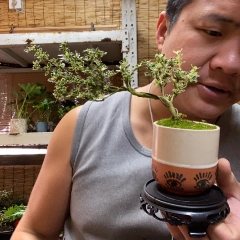 红陶一物一拍所见即所得62