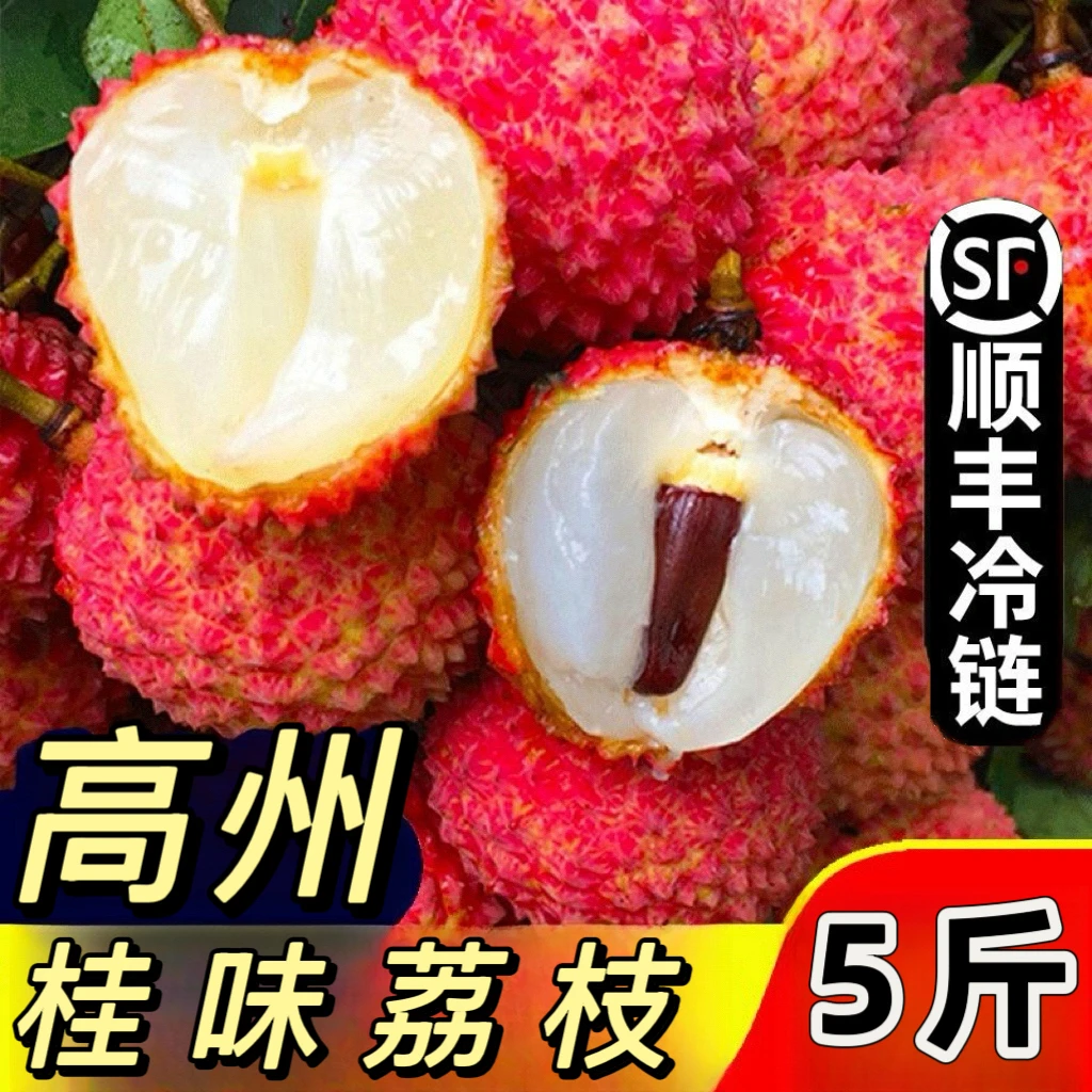顺丰冷链【老树桂味】茂名高州桂味荔枝肉厚新鲜应季水果包邮