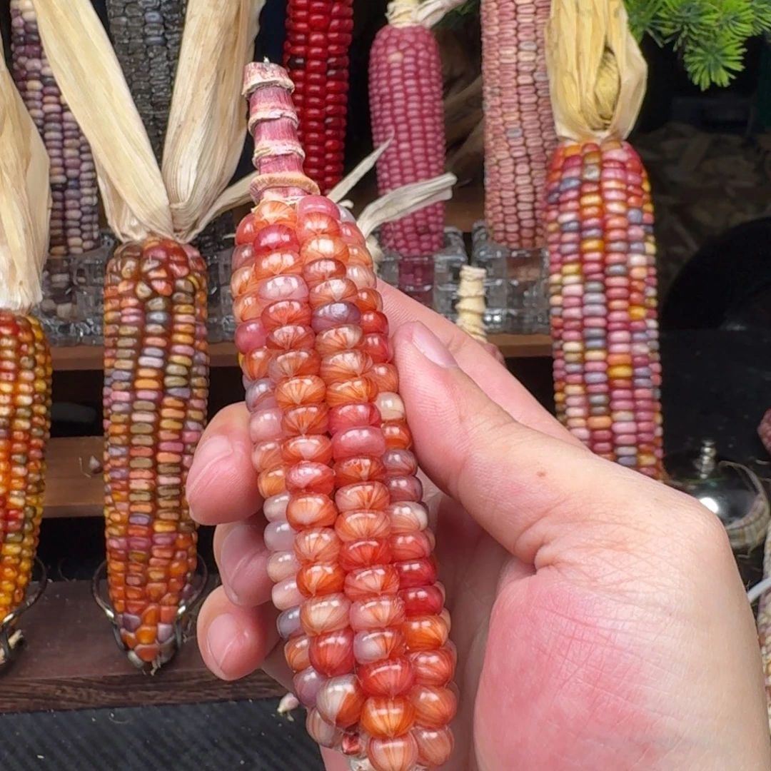 爱***菜吊坠柏香籽/百香籽