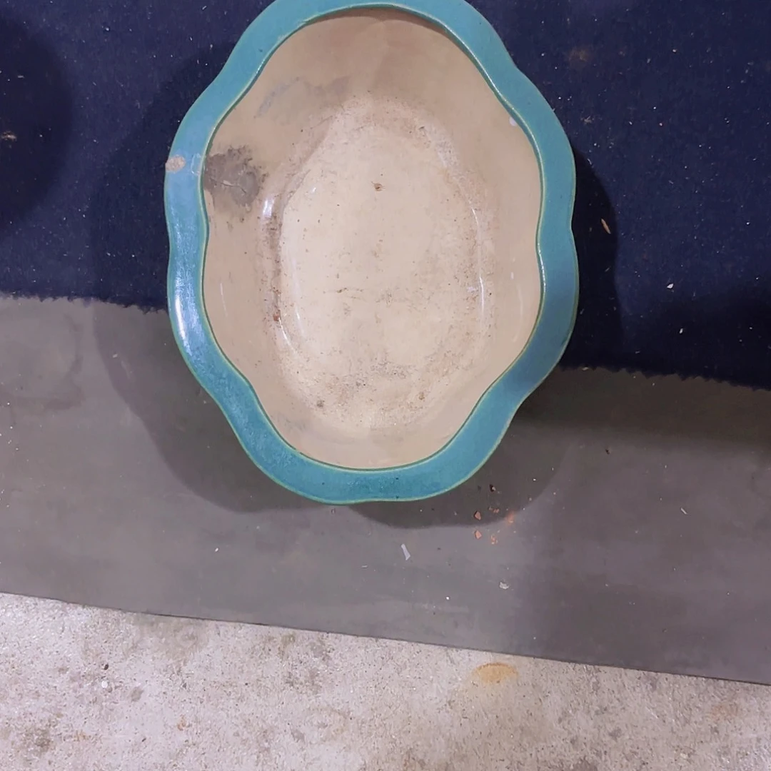 杂色豆（科檀/科特迪瓦檀木）茶**生