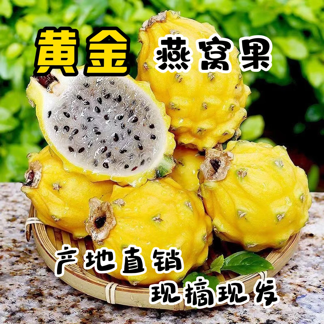 【福利】燕窝果麒麟果产地直销孕妇水果清甜爆汁现摘现发顺丰