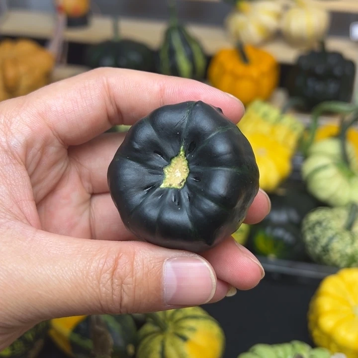 你****?福利福利福利福利