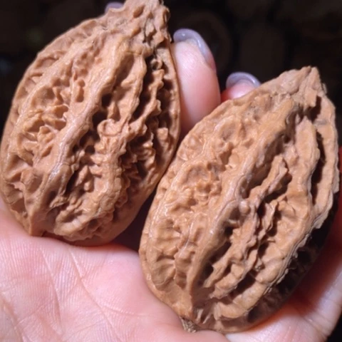 文玩核桃把件东北野生楸子小美26