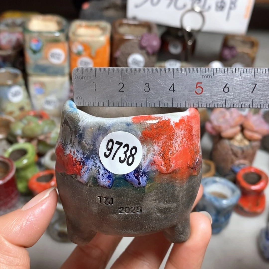 花盆特价，不退不换的