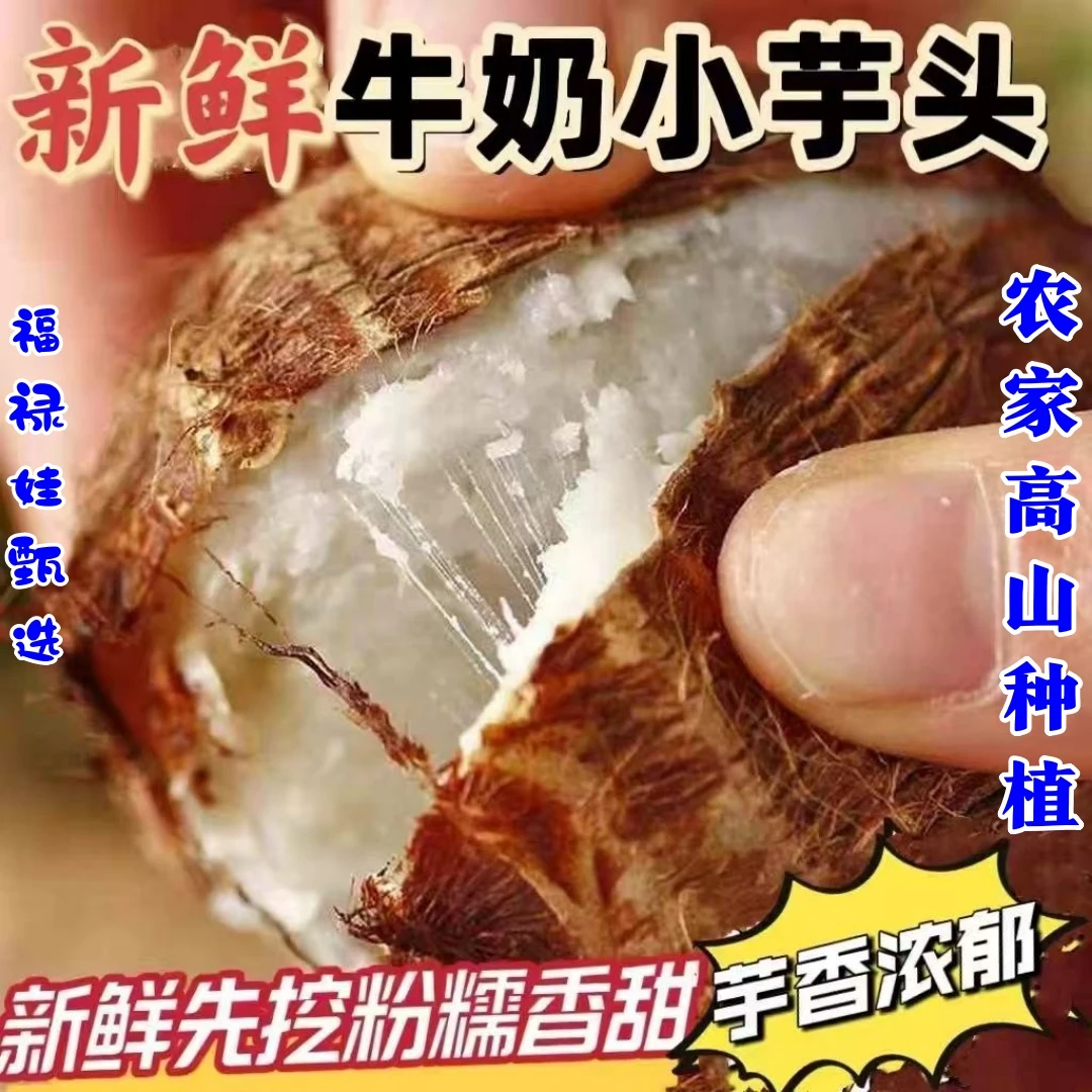 【牛奶小芋头】云南高山新鲜现挖牛奶小芋头软糯香甜当季蔬菜3/5斤
