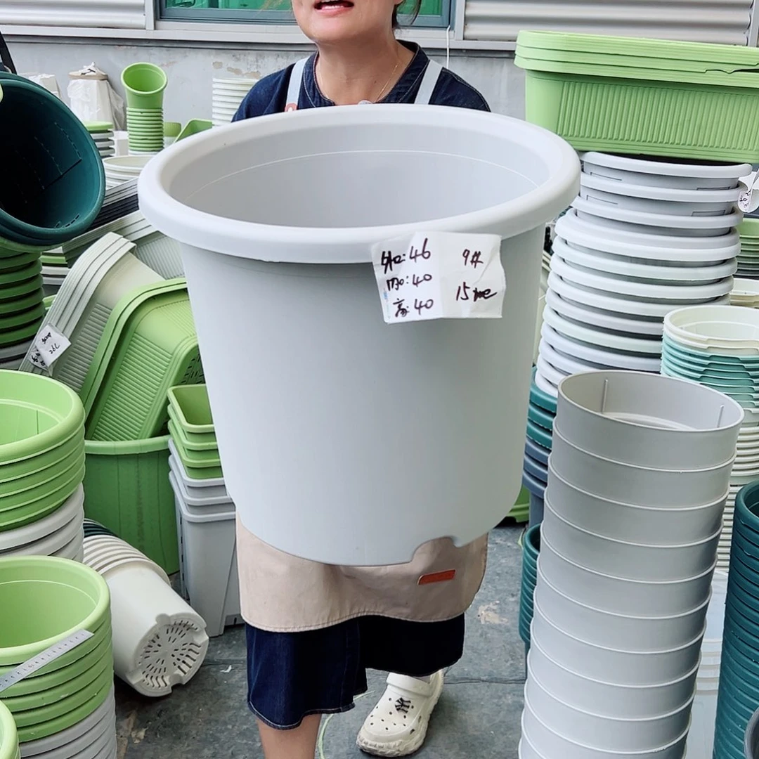 四季盆9#灰白色4个无托