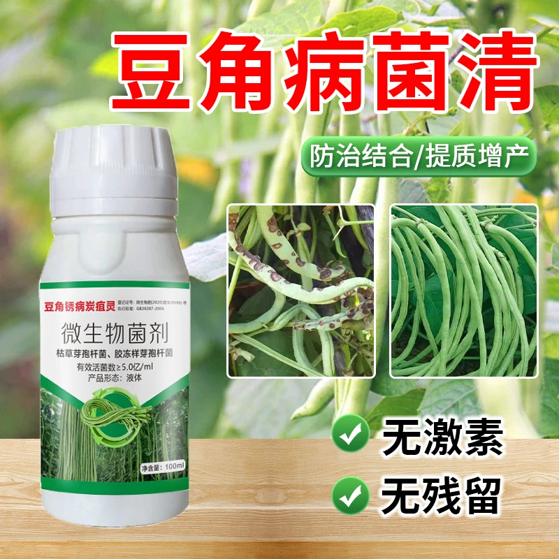 豆角病菌清专用豆角锈斑豆角炭疽霜霉灰霉升级配方正品微生物菌剂