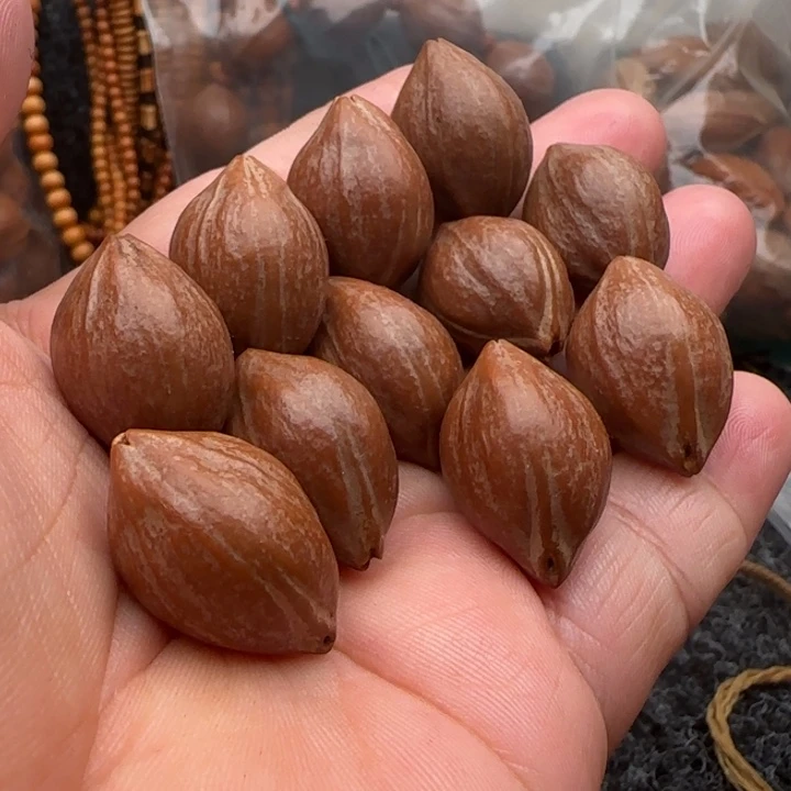 橄榄核手串橄榄核原皮铁盒三面佛