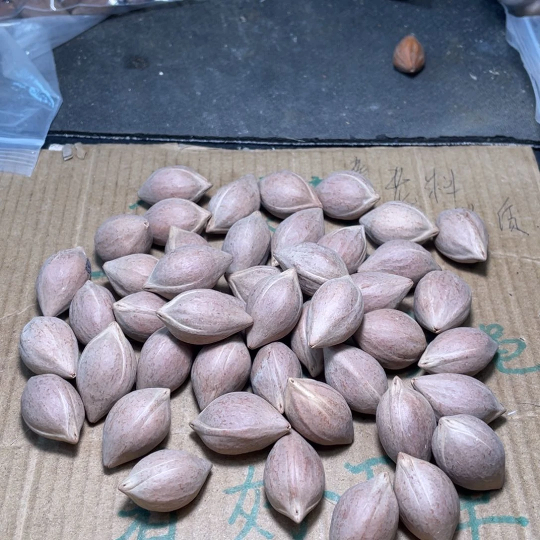 财***女橄榄核吊坠橄榄核