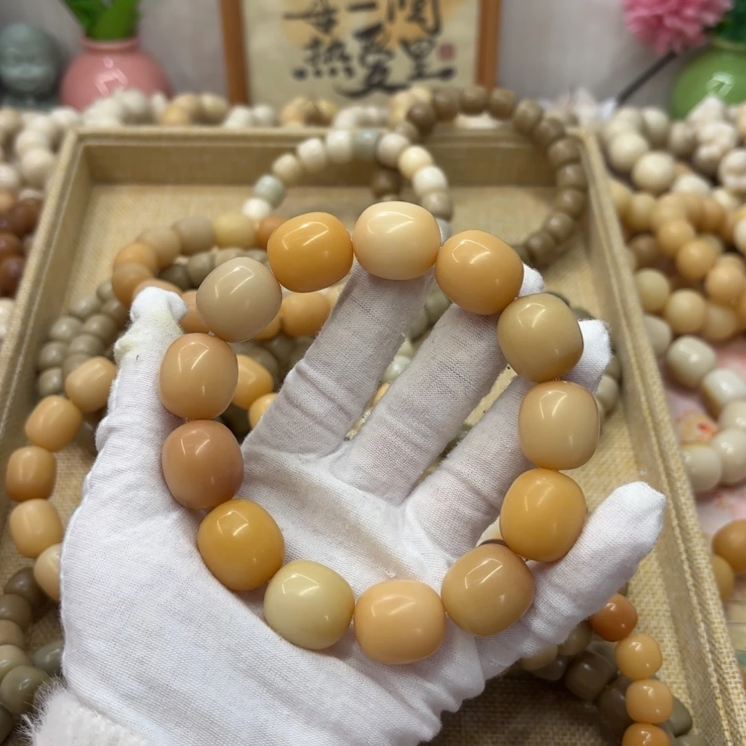 吊坠菩提根/象牙果20干磨瑕疵落地果枣055