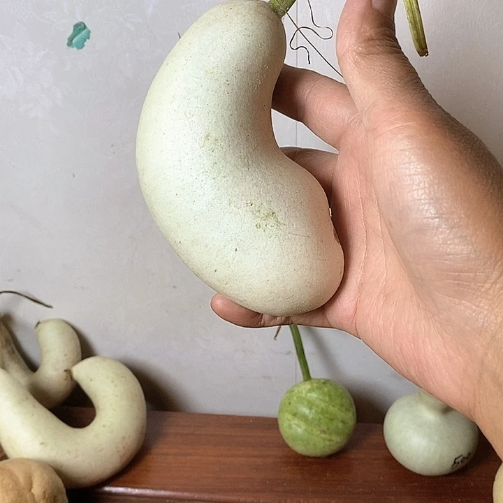 莆***通青皮葫芦手把件摆件
