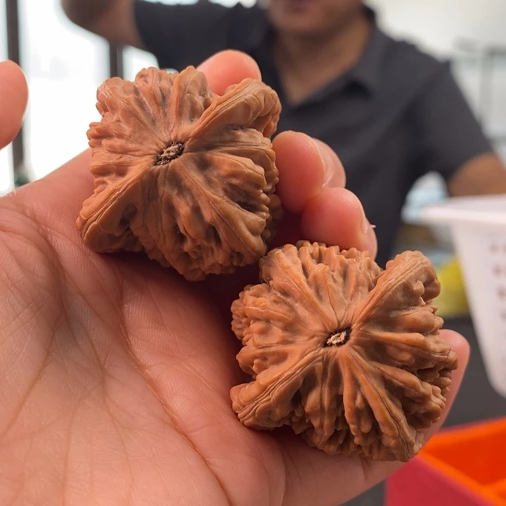 把件文玩核桃虎头王42尺