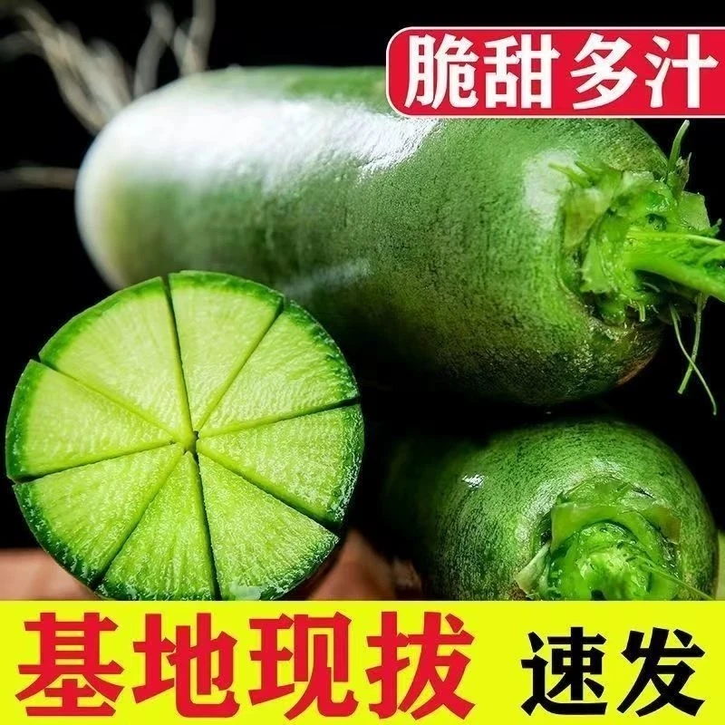 【福利必拍希卡利清甜微辣30】新鲜头茬特价潍坊正宗潍县水果萝卜现拔现发 产地直发 脆爽可口24小时送达