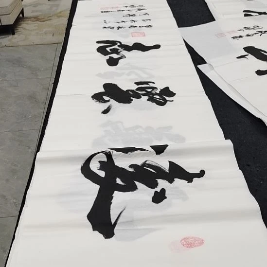 翰墨申国栋老师作品一副