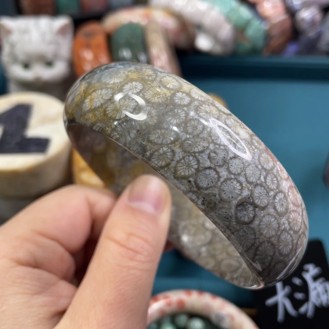 未镶嵌手镯硅化玉