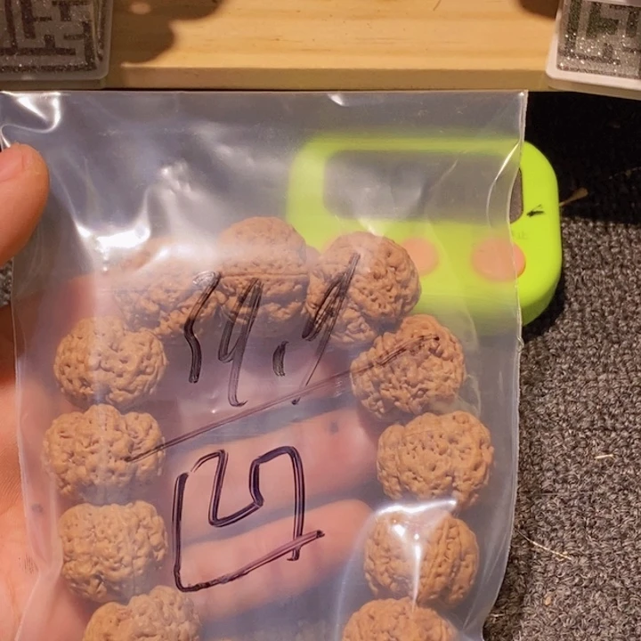 凹***汁金刚菩提吊坠您看行就过来了么就等一下