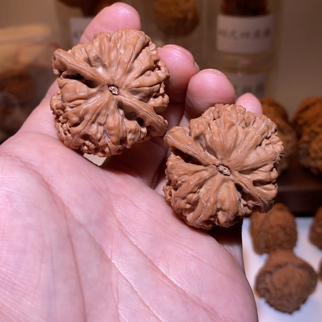 40尺 全品白茬 粗筋