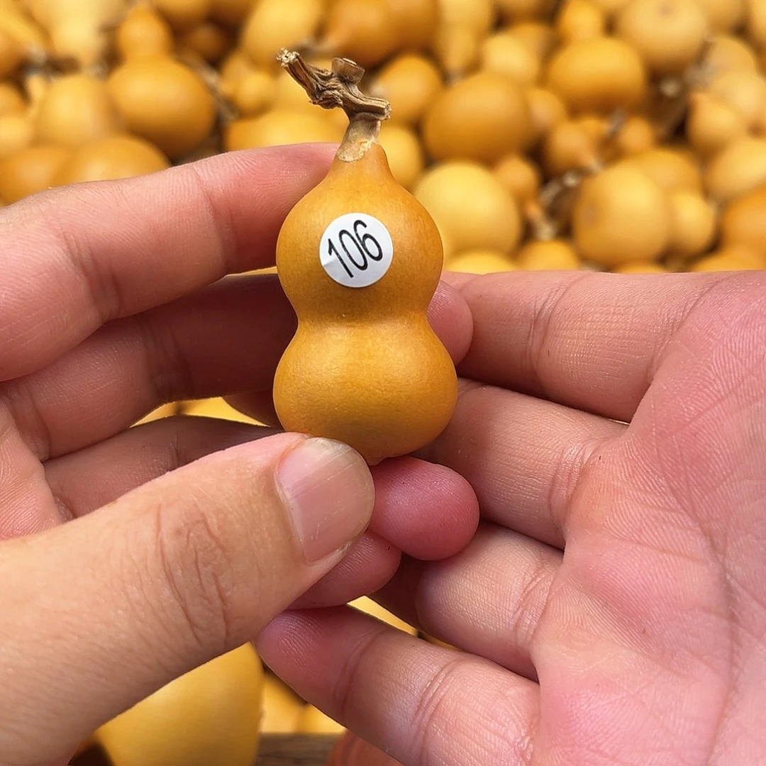 三葫芦葫芦葫芦葫芦106