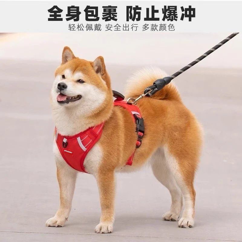 狗狗牵引绳反光胸背带背心式小型犬泰迪柯基比熊遛狗牵引绳狗链子