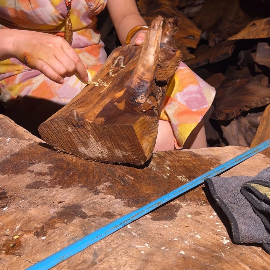 金丝楠不***了22222222222222