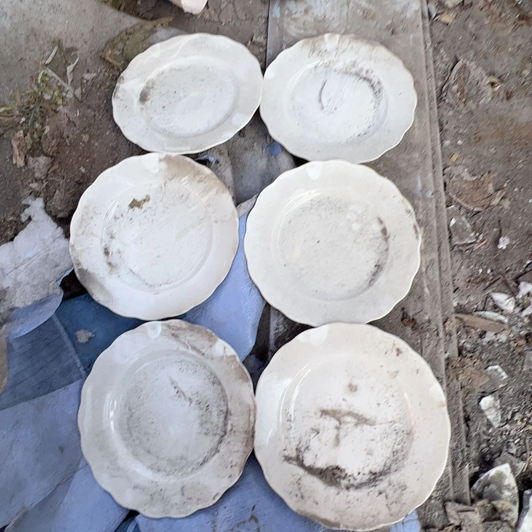 瓷景德镇高温陶瓷8寸太阳花6只