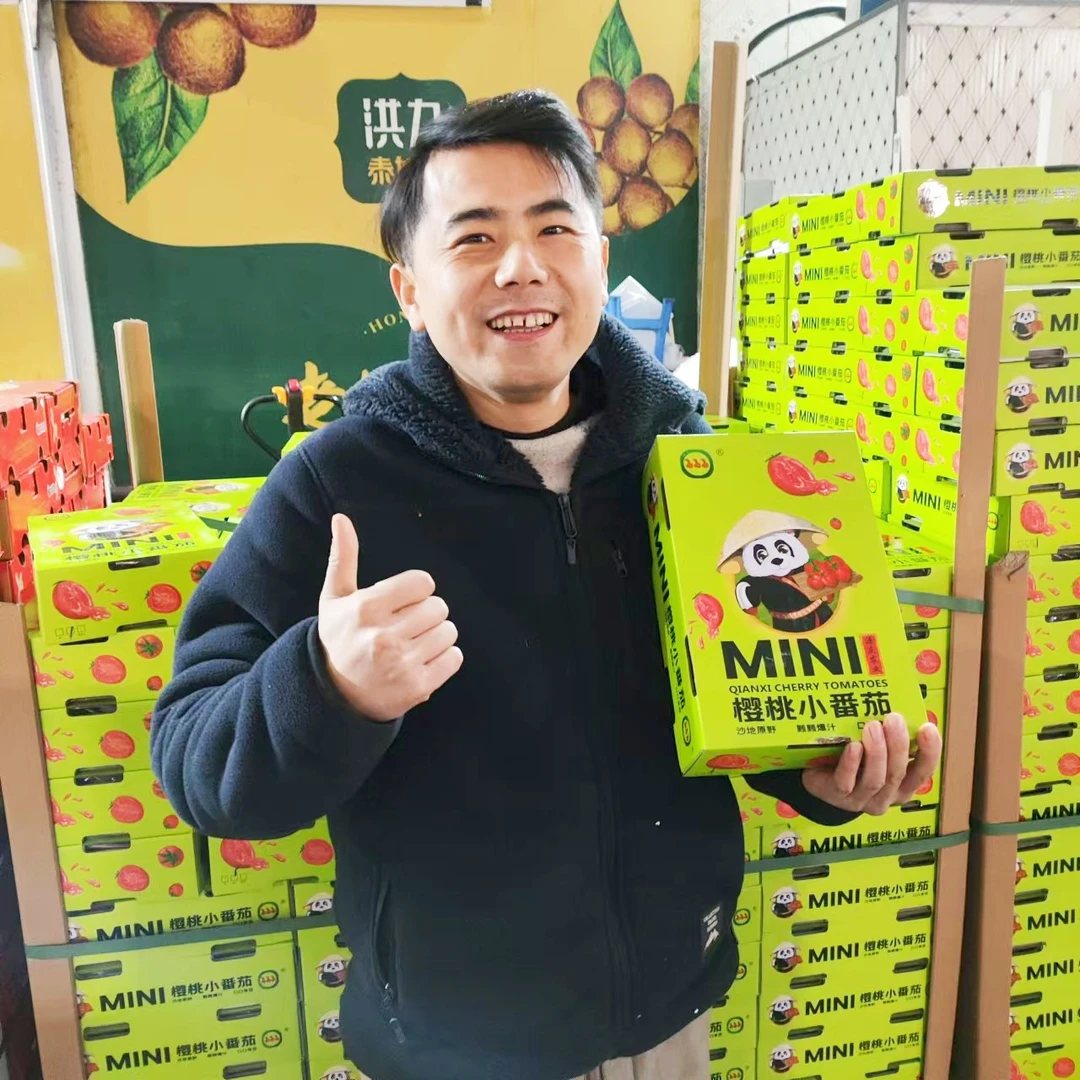 广东电白樱桃千禧爆汁小番茄2斤装