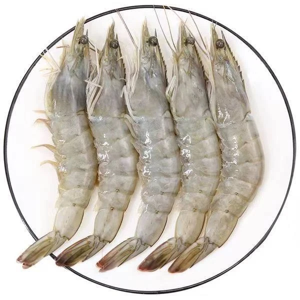 海水大虾5斤 13-16cm左右（60-75只左右）速冻锁鲜 12-15只/斤 5袋