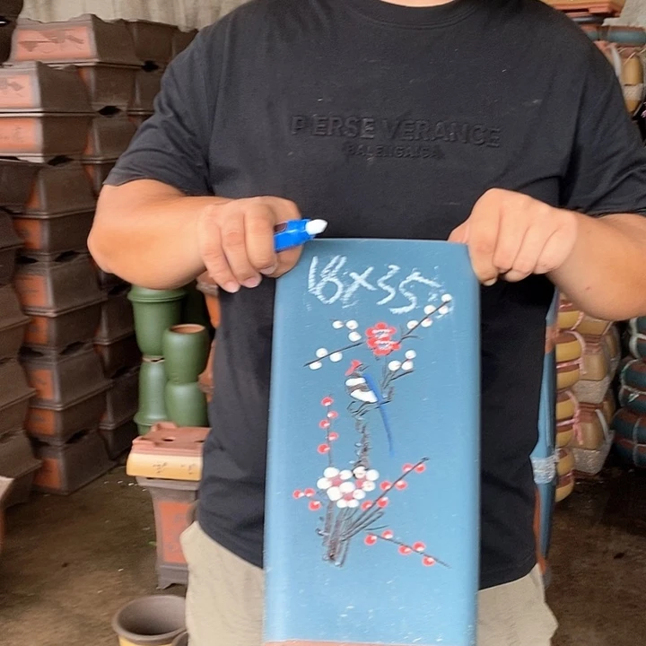 紫砂花盆盆栽植物花卉苗木种植