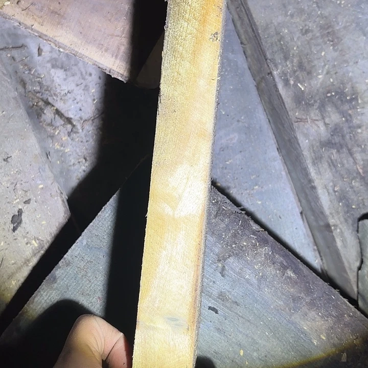 金丝楠啊啊啊啊啊啊啊