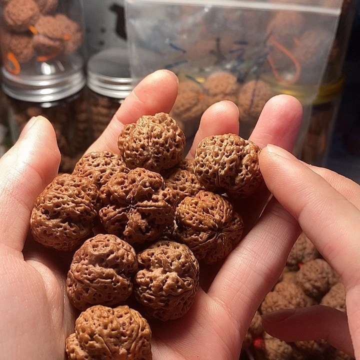 必***赢金刚菩提手串23龙牙高奢定制天花板