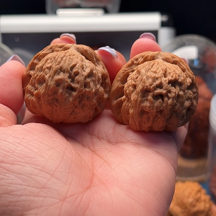 文玩核桃把件粗筋闷白 全品